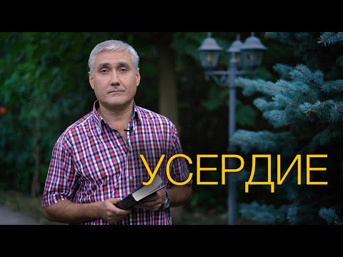 Видео: Усердие - это хорошо
