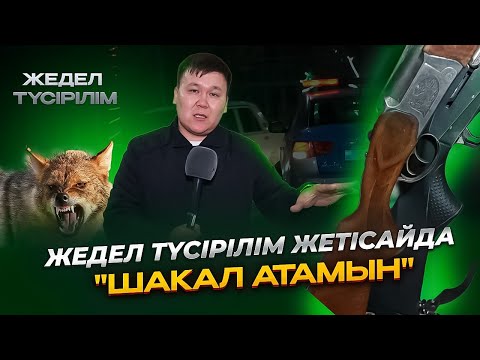 Видео: Жедел түсірілім | "Шакал атамын"