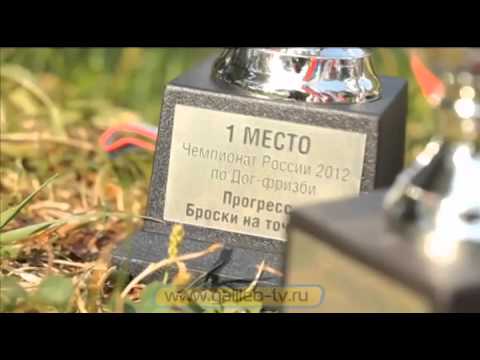 Видео: Галилео. Дог-фризби