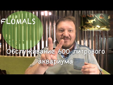Видео: АКВАРИУМ 600 ЛИТРОВ