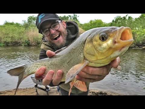 Видео: Ловля крупного ЯЗЯ фидером на малой реке!