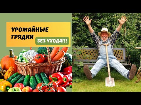 Видео: ГРЯДКИ. 4 ВАРИАНТА! БЕЗ ПОЛИВА. БЕЗ ПРОПОЛКИ. БЕЗ РЫХЛЕНИЯ. Устали Собирать Урожай!