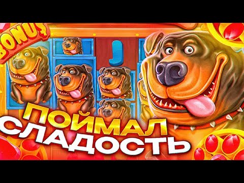 Видео: THE DOG HOUSE MEGAWAYS!!!ДАВНО ТУТ НЕ БЫЛ!!!И СРАЗУ ЖЕ ЗАНОСИК!!!