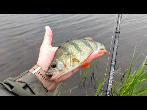 Видео: Crazy Fish Arion 742-uls, ультралайт серии Wind!