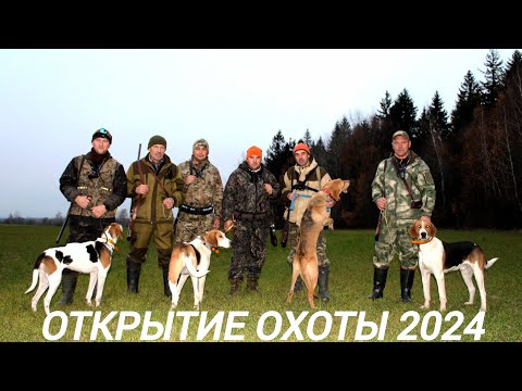 Видео: Открытие охоты  на пушного зверя.