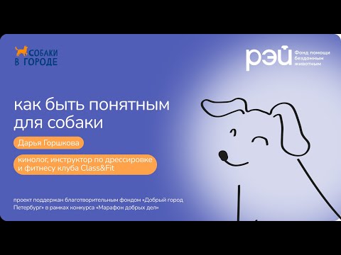 Видео: Как быть понятным для собаки?