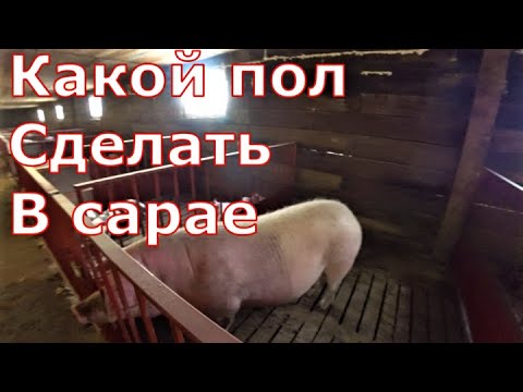 Видео: Какой пол лучше для сарая