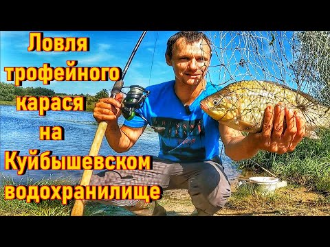 Видео: ЛОВЛЯ КРУПНОГО КАРАСЯ НА ВОЛГЕ/ТРОФЕЙНАЯ РЫБАЛКА/ФИДЕР/ЛЕТНЯЯ РЫБАЛКА/ТОЛЬЯТТИ/РЫБАК 87/ВИДЕО 2025