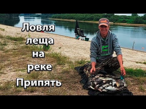 Видео: Ловля леща на реке Припять.