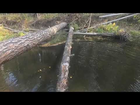 Видео: Эвенкия, Аляска 510, проходимец с. Ванавара, р Ванаварка