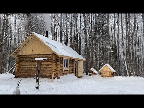 Видео: Одна ночь и день в лесной избе | Делаем кровати