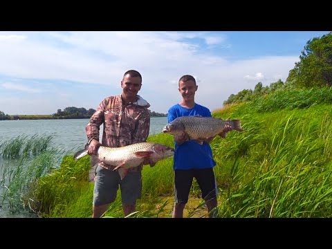 Видео: ВСЯ КРУПНАЯ РЫБА СБИЛАСЬ НА МЕЛЯК !!! ДОН 2022 !!!