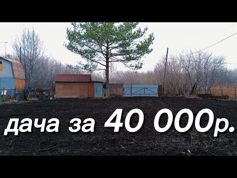 Видео: Купили заброшенную дачу🤩 Обзор дачи! Установили шатёр🎪