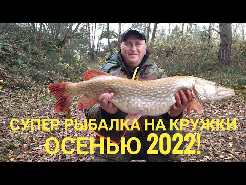 Видео: ЩУКИ-МОНСТРЫ РВУТ ЛЕСКУ! ТРОФЕЙНАЯ РЫБАЛКА НА КРУЖКИ!