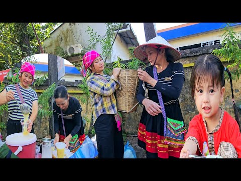 Видео: Фук Ха и Тиу Ви вместе готовят сладкий суп из помело: моменты настоящей дружбы!