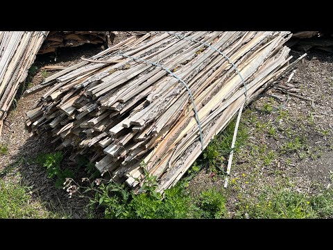 Видео: Горбыль листва/хвоя 2-6м Кобрин 