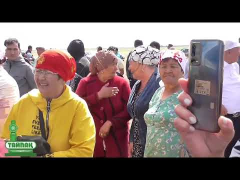 Видео: Тайпақ ауылы. 15.07.2023ж.