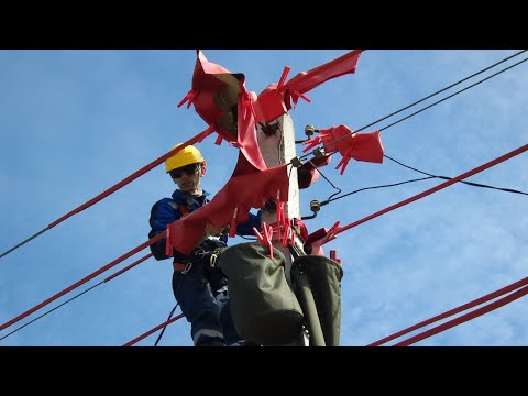 Видео: ТЕХНИЧЕСКИЕ МЕРОПРИЯТИЯ ПРИ ПОДГОТОВКЕ РАБОЧЕГО МЕСТА ДЛЯ ВЫПОЛНЕНИЯ РАБОТ ПОД НАПРЯЖЕНИЕМ