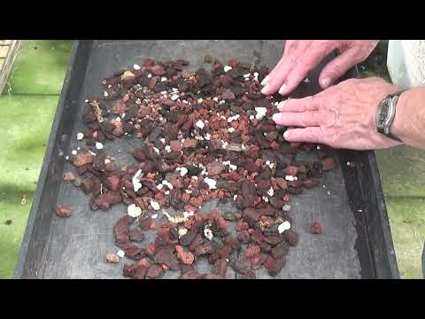 Видео: Пытаюсь найти проблему.