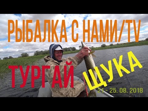Видео: ЩУКА ГНЁТ СПИННИНГ, ПОКЛЁВКА НА КАЖДОМ ВТОРОМ ЗАБРОСЕ, В ТУРГАЙ НА ЩУКУ С МОИМИ ДРУЗЬЯМИ! КАЗАХСТАН!