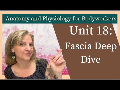 Видео: Модуль 19: Всё о фасциях | Структура, тенсегрити и сенсорная функция | Подготовка к MBLEx