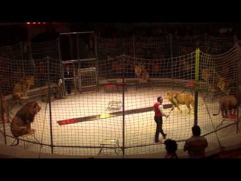 Видео: «Один среди львов» В. Гончаров