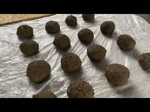 Видео: Бюджетный способ приманить рыбу, но не накормить ее.