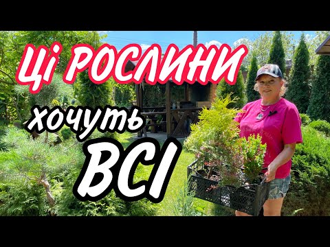 Видео: Ці РОСЛИНИ ЗАВЖДИ ЗАМОВЛЯЮТЬ.Їх хочуть ВСІ.