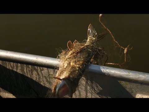 Видео: У пошуках браконьєрів: рибоохоронний рейд на Хрінницькому водосховищі