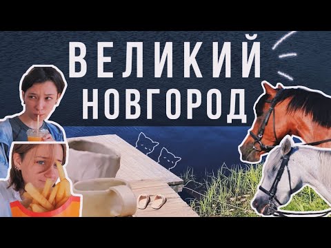 Видео: лошади, лето и кру́жки || vlog #6