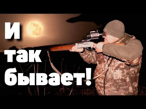 Видео: Бобёр чуть не довел до инфаркта охотника!