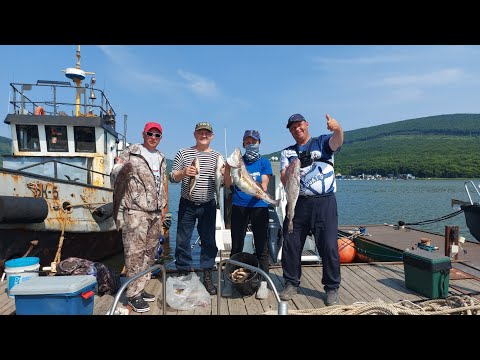 Видео: Японское море. В поисках Трески.2025.Мыс Поворотный