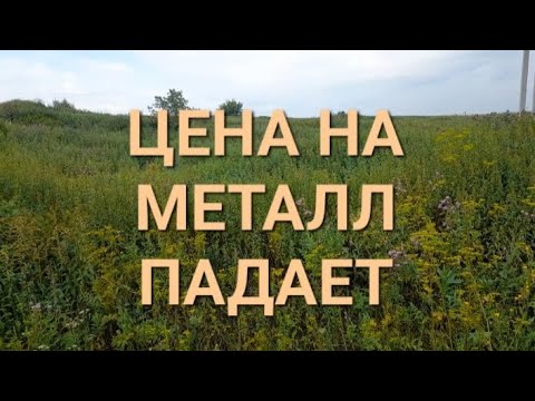 Видео: РЕЗКОЕ ПАДЕНИЯ ЦЕНЫ НА ЧЁРНОЕ ЗОЛОТО!!!КОП С ТХ850