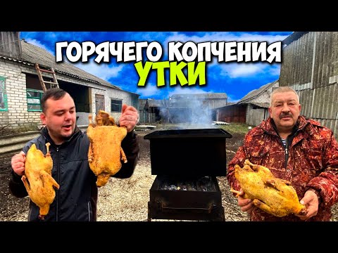 Видео: ПРИГОТОВИЛ УТОК ГОРЯЧЕГО КОПЧЕНИЯ С БАТЕЙ | В ДОМАШНИХ УСЛОВИЯХ | ВСЕ ИСПОРТИЛИ?!