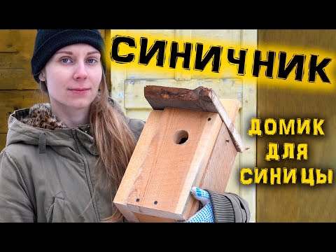 Видео: ДОМИК ДЛЯ ПТИЦ - СИНИЧНИК 💛 собираем легко и просто