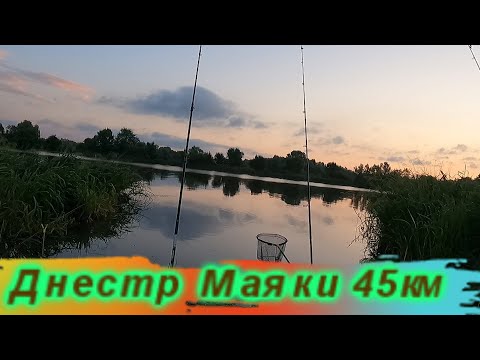 Видео: Рыбалка на Днестре /Маяки /6-7  августа 2023 / 45 км