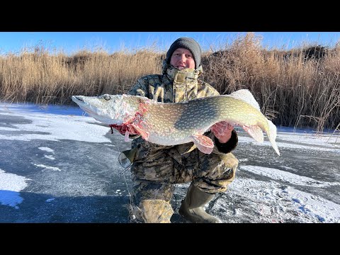 Видео: МЫ ЕЁ ЖДАЛИ И ОНА ВЫШЛА! Первый лёд 2024! Торгай!