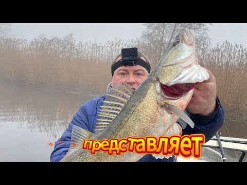 Видео: Зимняя рыбалка с лодки в Германии VS с берега - Какой способ лучше? 4K