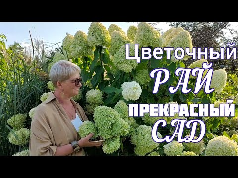 Видео: Прекрасный САД Светланы и Сергея Декуновых. Обзор - прогулка.