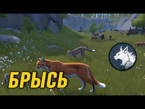 Видео: Если не я, то кот?! #northgard