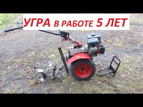 Видео: Мотоблок Угра в работе 5 лет/Реальный отзыв/Поломки/Плюсы/Минусы/мотор и трансмиссия\Фрезы\колеса