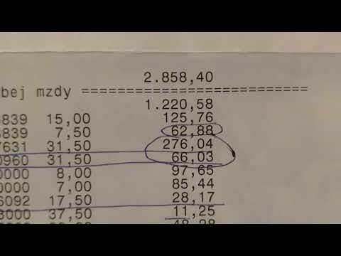 Видео: Работа Фольксваген.Трудовой договор с агентством и на прямую.