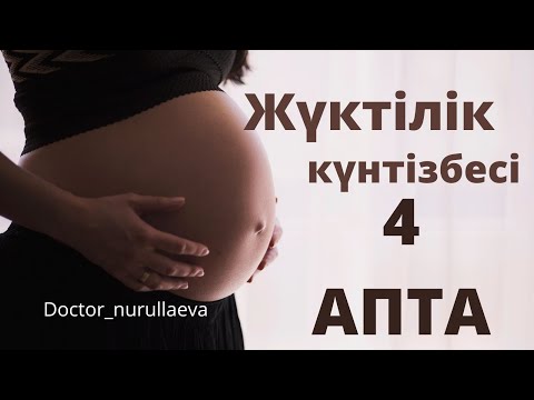 Видео: ЖҮКТІЛІКТІҢ 4 АПТАСЫ  ҚАНДАЙ ӨЗГЕРІСТЕР БОЛАДЫ ЖҮКТІЛІК АЛҒАШҚЫ БЕЛГІЛЕРІ 4 Неделя Беременности