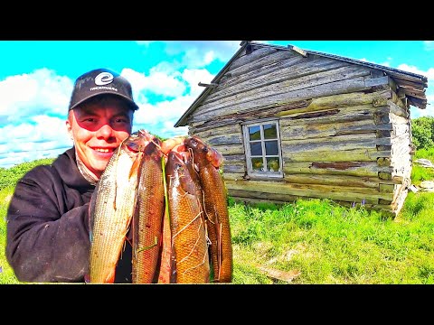 Видео: НАШЕЛ  И ЗАНОЧЕВАЛ  В ЗАБРОШЕННОЙ  ИЗБЕ ПРОМЫСЛОВИКОВ !!! КЛАССНАЯ РЫБАЛКА НА ХАРИУСА !!!