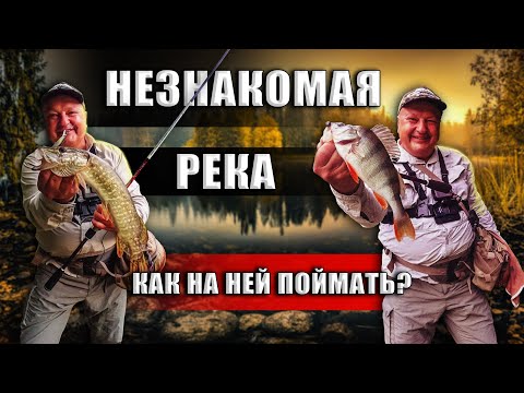 Видео: КАК ПОЙМАТЬ НА НОВОЙ РЕКЕ? Какие приманки и проводки на хищника работают? Ловим на Aspen Stake 862LT