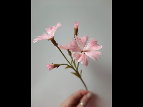 Видео: МК Полевая гвоздика из холодного фарфора🌸 Cold Porcelain Field Carnation