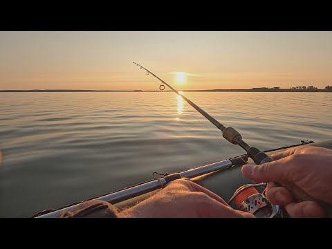 Видео: РЫБАЛКА НА МИНСКОМ МОРЕ С ЛОДКИ