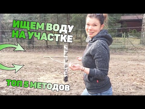 Видео: Как найти воду на участке? Топ 5 методов.