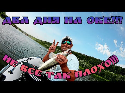 Видео: Два дня на Оке!!! в начале Августа! Не все так плохо...