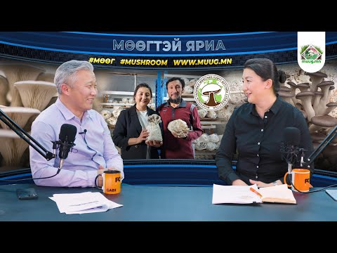 Видео: "Мөөгтэй яриа" Episode #08 Мөөжиг Органик С.Мөнхжаргал (podcast)